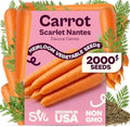 SVI 2000 Scarlet Nantes Carrot Heirloom Vegetable Seeds, Daucus carota by SVI