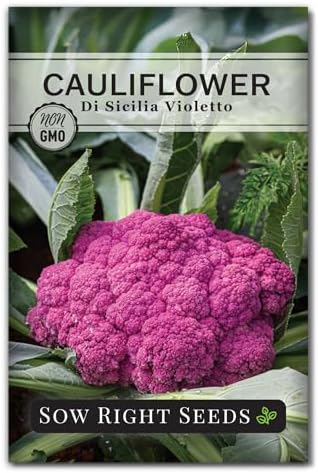 Sow Right Seeds - Di Sicilia Violetto Cauliflower Seed for Planting Garden by SowRightSeeds