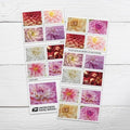 Dahlias 2025 (2 Books of 20) First-Class Mail Forever Postage Stamps by United+States+Postal+Service