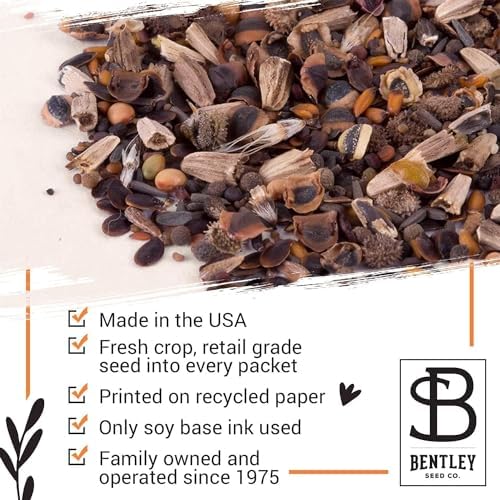Bentley Seeds Grow with Us Pre Filled Butterfly Mix Seed Packets - 25 Individual Assortment Butterfly Mix Seed Packs for Party Favors Non-GMO Eco-Friendly Summer to Fall Gift - Outdoor Garden Seeds - Image 5