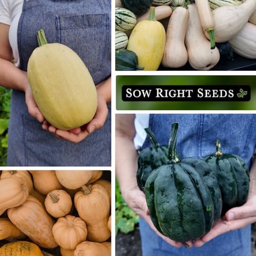 Sow Right Seeds - Winter Squash Seed Collection for Planting - Image 4