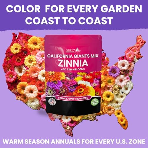 NatureZ Edge Zinnia Seeds for 2026 Planting Outdoors, Over 16,500 Flower Seeds, 1/4 lb, Non GMO Made in USA, Bulk Semillas De Flores para Sembrar, California Giants, Easy to Grow Zinnia Seed Mix - Image 6