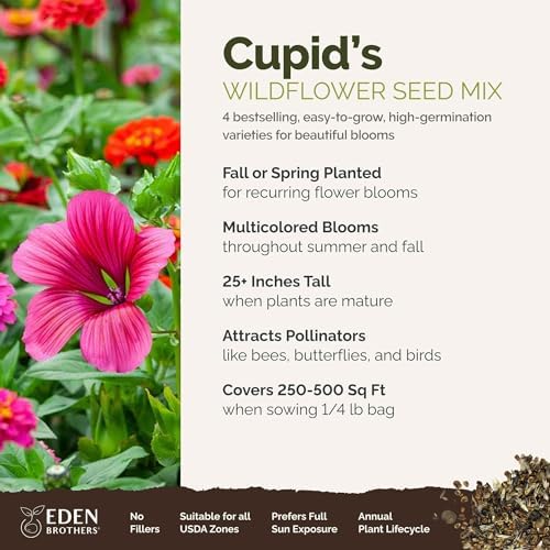 Eden Brothers Cupid's Flower Seed Mixed Seeds for Planting, 1/4 lb, 120,000+ Seeds with Malop Vulcan, Zinnia | Attracts Pollinators, Plant in Spring, Zones 2, 3, 4, 5, 6, 7, 8, 9, 10 - Image 2