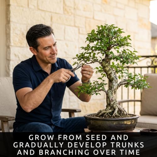 12 Variety Bonsai Tree Seed Kit | 300+ Seeds for Growing & Training - Image 5