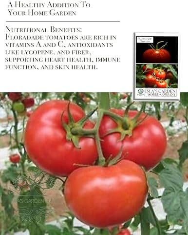 Floradade Tomato Seeds for Planting, 300+ Heirloom Seeds Per Packet, (Isla's Garden Seeds), Non GMO Seeds, Botanical Name: Solanum lycopersicum, Great Home Garden Gift - Image 5