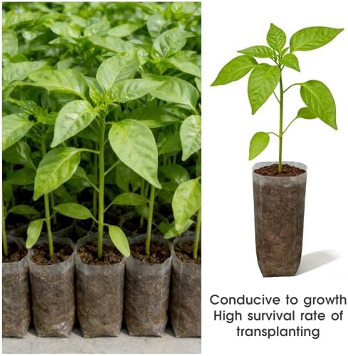Augshy 100 Pcs Nursery Grow Bags, 7.5x13.5 Inch Non-Woven Fabric Grow Bags - Image 4