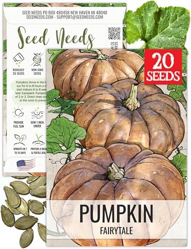 Seed Needs Fairytale Pumpkin Seeds to Plant Vegetables - 1 Pack by SeedNeeds