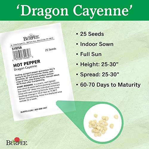 Burpee Dragon Cayenne Hot Pepper Seeds 25 seeds - Image 3