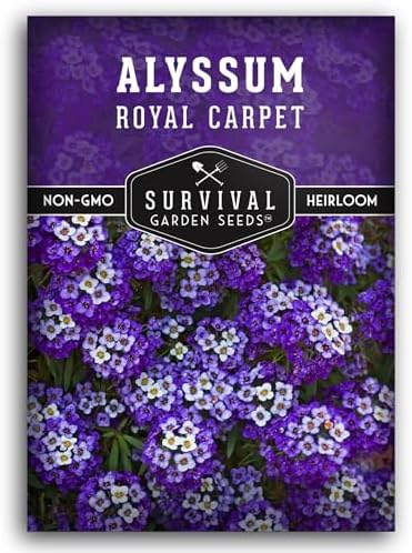Purple Alyssum Seeds for Planting - Survival Garden Seeds (1 Pack) by SurvivalGardenSeeds