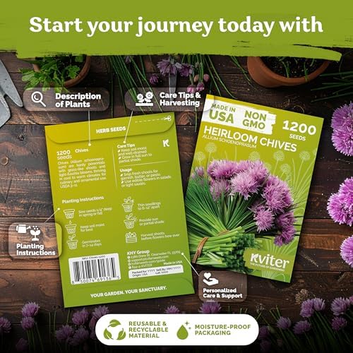 1,200 Chive Heirloom Herb Seeds for Planting, Allium Schoenoprasum - Image 2
