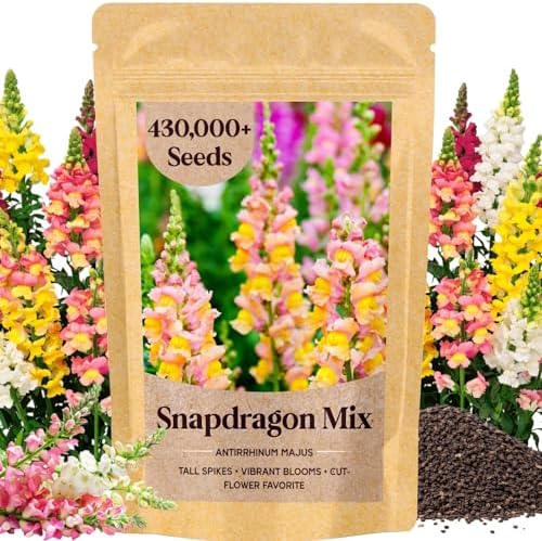 430,000+ Mixed Snapdragon Seeds for Planting, Antirrhinum majus by Unknown