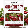 Red Chokeberry Seeds for Planting Native Shrub 100 Premium Seeds by CZGrain