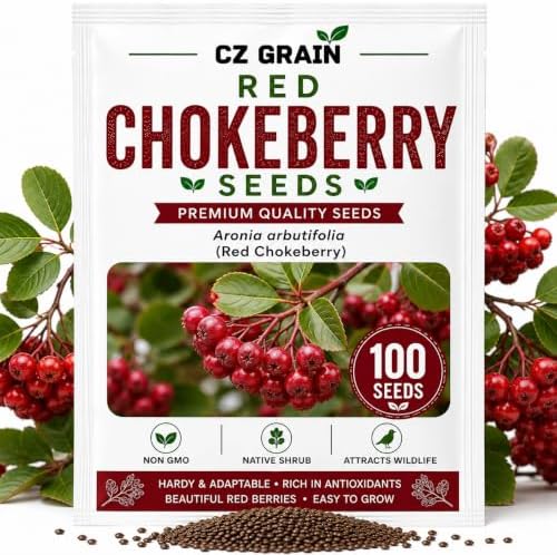 Red Chokeberry Seeds for Planting Native Shrub 100 Premium Seeds by CZGrain