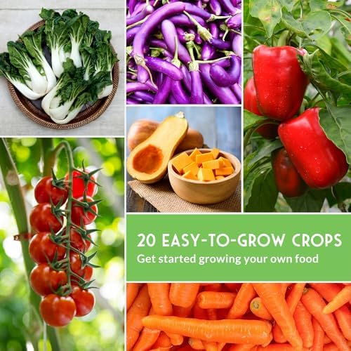 Vegetable Garden Starter Kit for Planting - Image 5