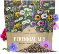 Perennial Wildflower Seeds Mixture - Bulk 1 Ounce Packet - Over 15,000 Pure Live Seed - Open Pollinated and Non GMO… by SweetYards
