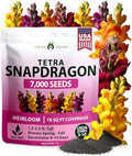 HOME GROWN Tetra Snapdragon 7000 Flower Seeds Antirrhinum majus by HOMEGROWN