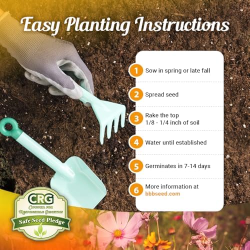 BBB Seed Drought Tolerant Wildflower Seeds Mix, Annual & Perennial, 1 oz - Image 3