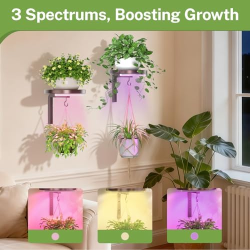 Plant Wall Hanger with Grow Lights Set of 2 for Indoor, Bronze - Image 5