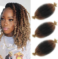 12 Inch Pre-Separated Springy Afro Twist Hair 3 Packs Black Pre-Fluffy Natural Brown Blonde Marley Crochet Hair Suitable for Black Women (1B/30/27, 12 Inch (Pack of 3)) by Celie