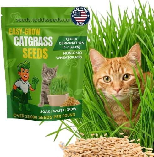 Todd's Seeds Cat Grass Seeds for Indoor Cats, 1lb Wheat Grass Seeds by ToddsSeeds