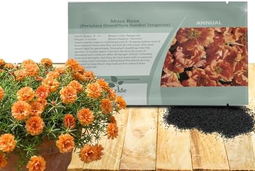 Outsidepride Tangerine Moss Rose Seeds - 500 Pcs Annual, Drought & Heat Tolerant, Pollinator Friendly Ground Cover Seeds for Planting w/Vibrant Blooms & Succulent Foliage, Ideal for Xeriscaping by Outsidepride