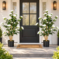 2 Pack 3FT Artificial Camellia Trees in Pots, White Flowers by ICEYBLOOMS