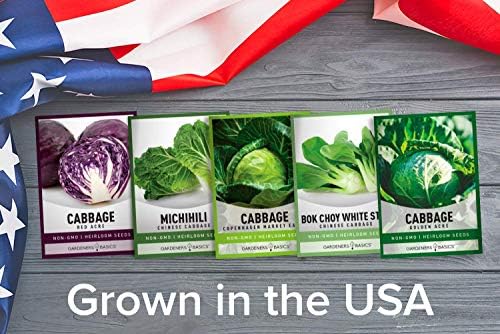 Gardeners Basics, Cabbage Seeds for Planting 5 Individual Packets Bok Choy, Michihili (Napa) Chinese Cabbage, Red, Golden Acre and Copenhagen Market Early for Your Non GMO Heirloom Vegetable Garden - Image 3