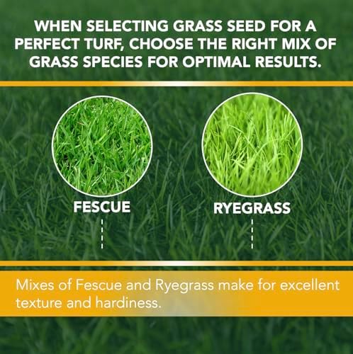 Contractors Choice Grass Seed 50lb, Premium Lawn Seeds for Full Sun Shade Bare Spots and High Traffic, Fast Germinating Dense Turf Coverage Repair Overseeding - Image 4