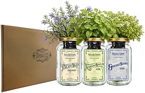 Chef’s Herb Garden Mason Jar Grow Kit (3 Pack) – Tuscan Blue Rosemary, Greek Basil & Lemon Balm – Indoor Hydroponic Herb Growing Kit – Windowsill Kitchen Herb Garden - Image 6