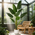 Garvee 4FT Artificial Banana Tree with Planter, Fake Tropical Trees by Garvee