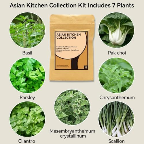 68pcs Hydroponic Pods Kit for Aerogarden, Indoor Garden Hydroponics Growing System - Compatible with All Brands (30 Grow Sponges, 12 Grow Baskets, 12 Grow Domes, 12 Pod Labels, 1 A&B Plant Food) - Image 2
