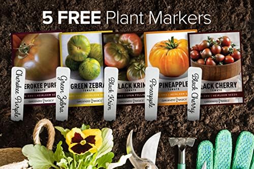 Gardeners Basics, 5 Rare Tomato Seeds for Planting Variety Pack Heirloom Tomato Seeds, Cherokee Purple, Black Krim, Pineapple, Green Zebra, Black Cherry, Determinate and Indeterminate & More, Non GMO - Image 4