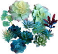 Artificial Blue Succulent Plants Plastic Fake Flower Arrangement for Home Garden Office Desk Decoration Pack of 10 by Unknown