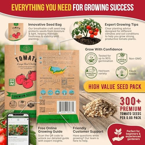 Tomato Large Cherry Seeds Pack 0.8 G - Over 300 of Non-GMO Heirloom Tomato Seeds for Planting Vegetables in Individual Seed Packet, Vegetable Seeds for Planting Home Garden Indoor & Outdoor Gardening - Image 3