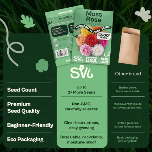 SVI 5500 Moss Rose Non GMO Heirloom Flower Seeds, Portulaca grandiflora - Image 6