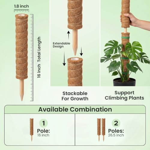 2 Pack 16" Moss Pole Monstera Plant Support - Stackable up to 26.5" - Image 3