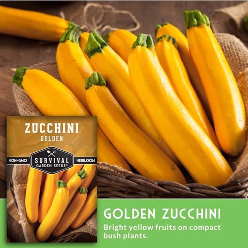 Golden Zucchini Seeds for Planting - 1 Pack - Image 5
