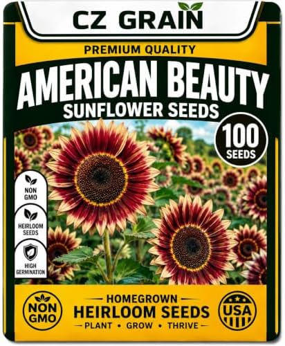 100 American Beauty Sunflower Seeds | Red Sunflowers for Planting by CZGrain
