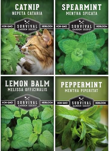 Mint Seeds Variety Pack for Planting by SurvivalGardenSeeds