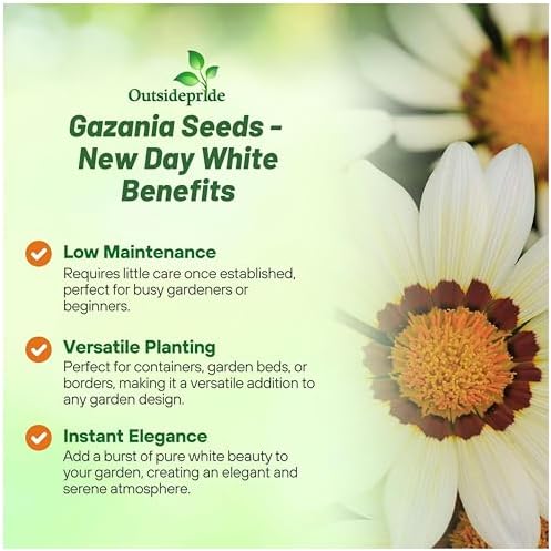 Outsidepride New Day White Gazania Seeds for Planting – 25 Pcs Perennial, Low-Maintenance, Drought-Tolerant Ground Cover Seeds for Vibrant Summer & Fall Flowers, Great for Outdoor Gardens - Image 3
