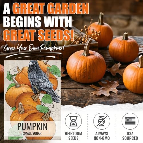 Seed Needs Small Sugar Pumpkin Seeds to Plant Vegetables - Bulk Pack - Image 2