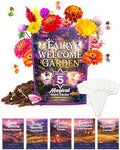 Fairy Garden Seed Kit | 5 Flower Varieties for Pollinators | Indoor,Outdoor by TactikoSurvival