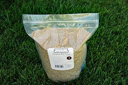 Creeping Red Fescue Seed by Eretz (3lb) - Choose Size! Willamette Valley Oregon Grown, No Fillers, No Weed or Other Crop Seeds, Premium Shade Grass Seed. - Image 5