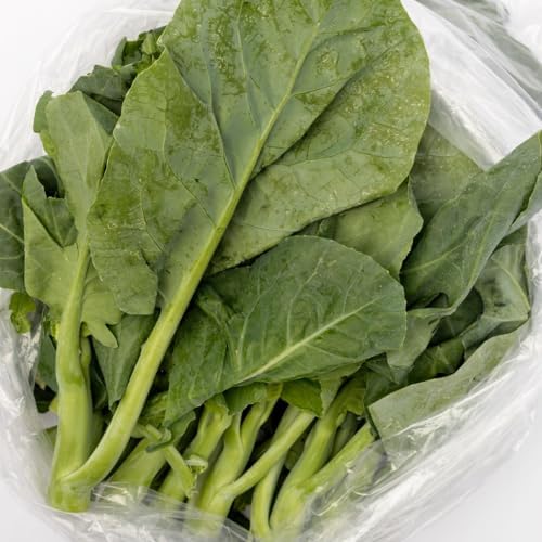2000+ Chinese Broccoli Seeds (Kailan/Gai Lan/Cai Ri/Kai Lan/Cải Rổ), Non-GMO, Heirloom, Cantonese Cooking, Mai's Family - Image 2