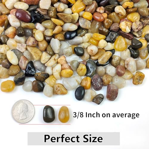 YISZM 5LB Succulent and Cactus Gravel Pebbles, 3/8 Inch Natural Stones - Image 3