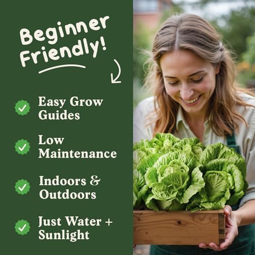 Organic Non-GMO Vegetable Seeds for Planting (Buttercrunch Lettuce) - Image 4