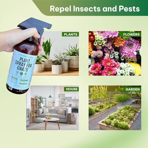 Plant Spray for Insects & Getting Rid of Gnats (16oz) - Image 5