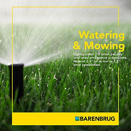 Barenbrug 25626 Turf Sense Athletic Field Grass Seed Grows in Areas of Sun and Partial Shade, 25 LB Bag - Image 6