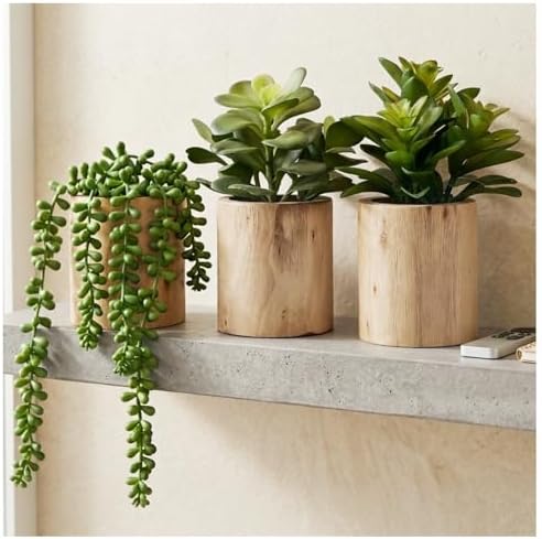 Artificial Succulents Plastic Artificial Green Plant for Office, Home Decor (Set of 3 Succlents in Wooden pots) by Unknown