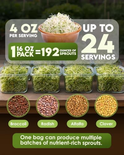 Nature Jim's Sprouts Salad Mix – Broccoli, Alfalfa, Clover, Radish, 1lb - Image 3
